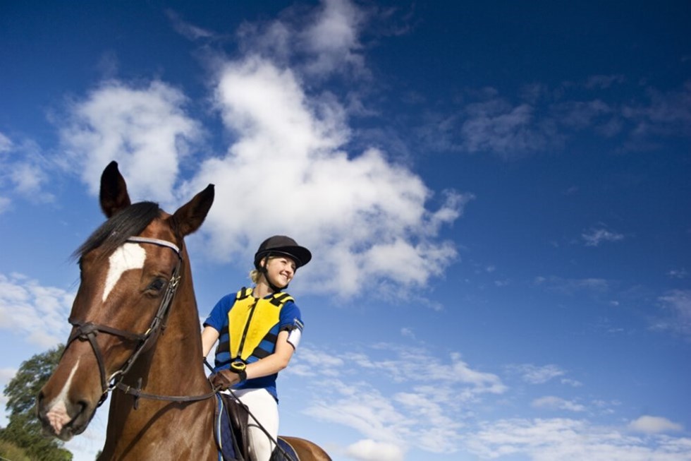 ryttare sitter till häst blå himmel i bakgrunden