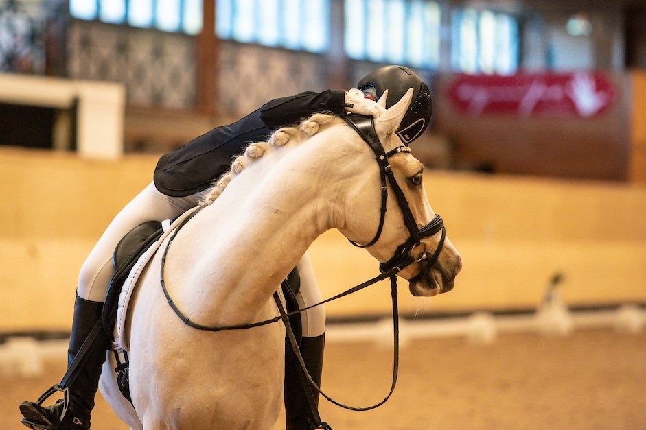 Gå till artikel: Två internationella ponnymätningar i januari
