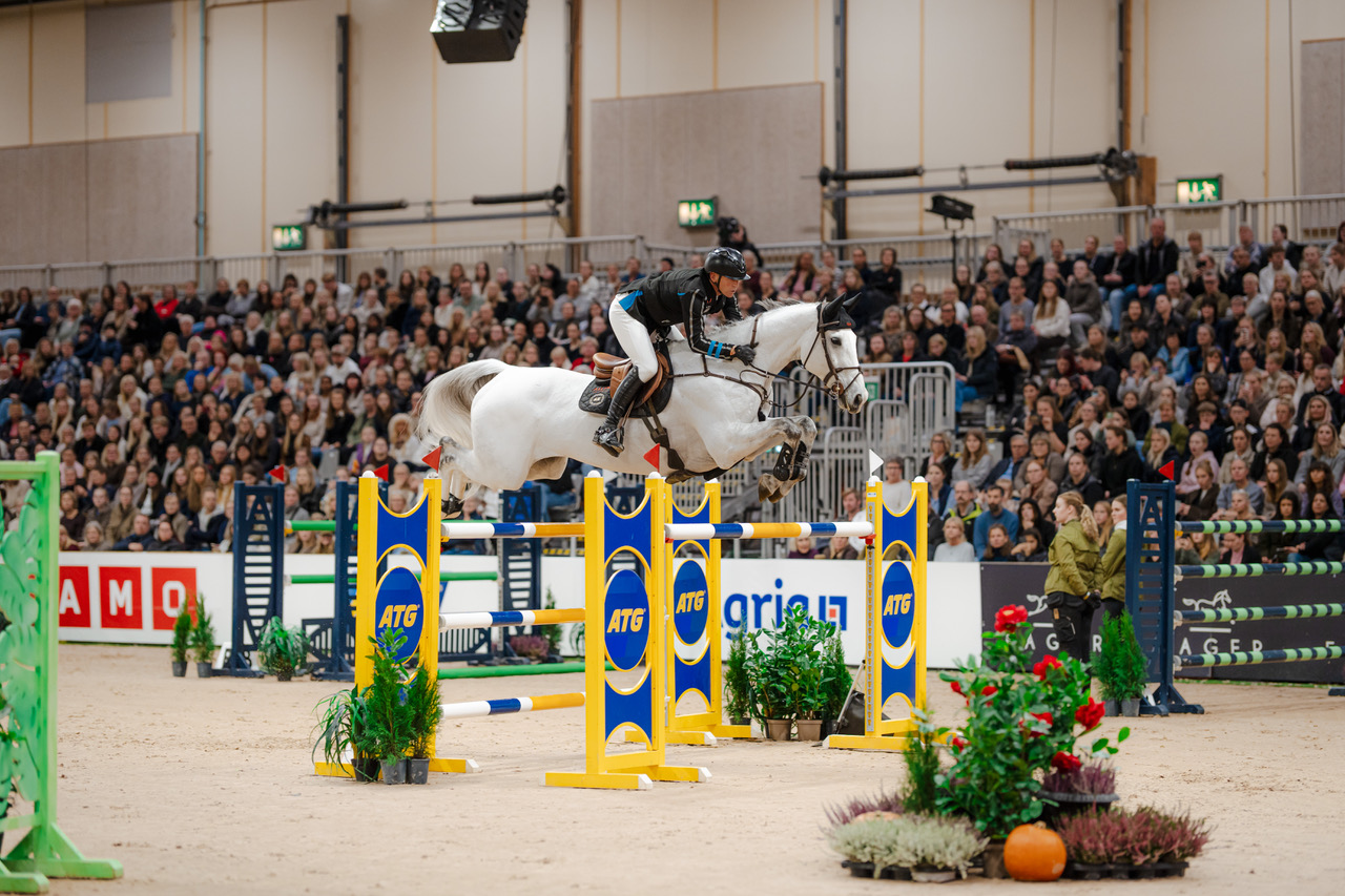 Gå till artikel: Nu släpps biljetterna till Jönköping Horse Show 2026