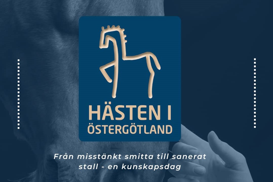 Hästen i Östergötland 230909
