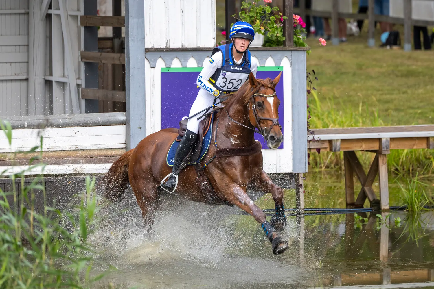 Sally Wittvången/Lady Roller har varit med i Unga fälttävlanstalanger. Foto: Roland Thunholm