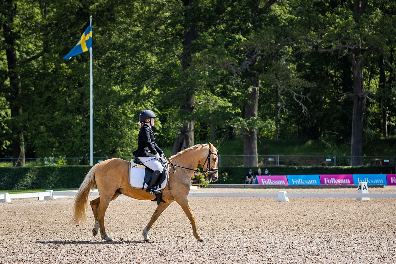 Sofia Domander och Golden Catch Me. Paradressyren i Strömsholm 2019. Foto: Svenska Ridsportförbundet