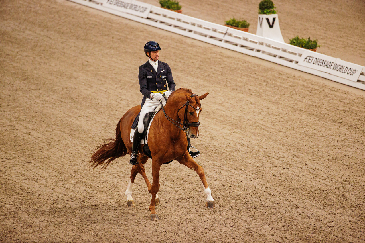 Bonamour är tredje hästen som tar världscuppoäng tillsammans med Patrik Kittel 2023.