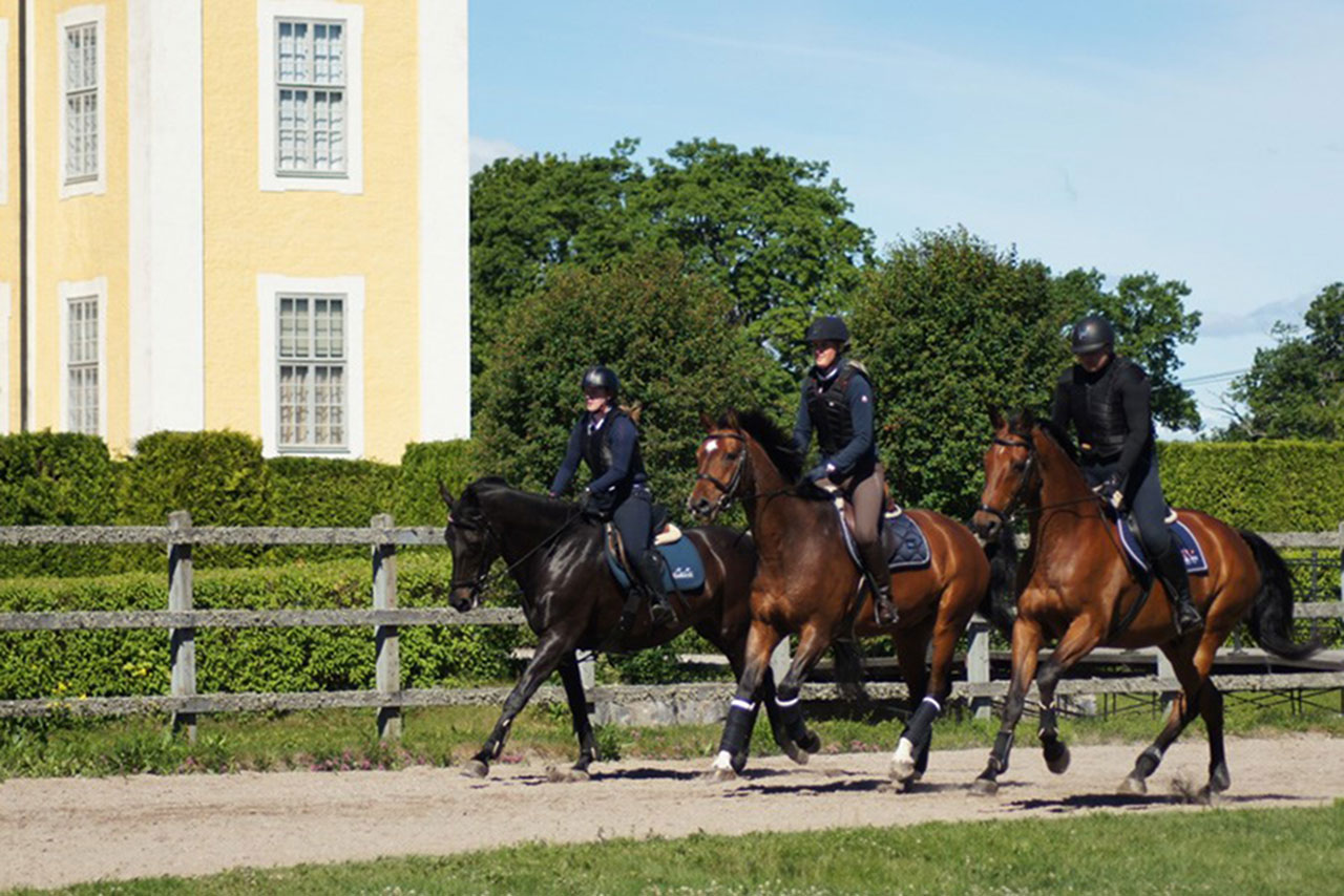 Ridledare rider tillsammans på Strömsholm.