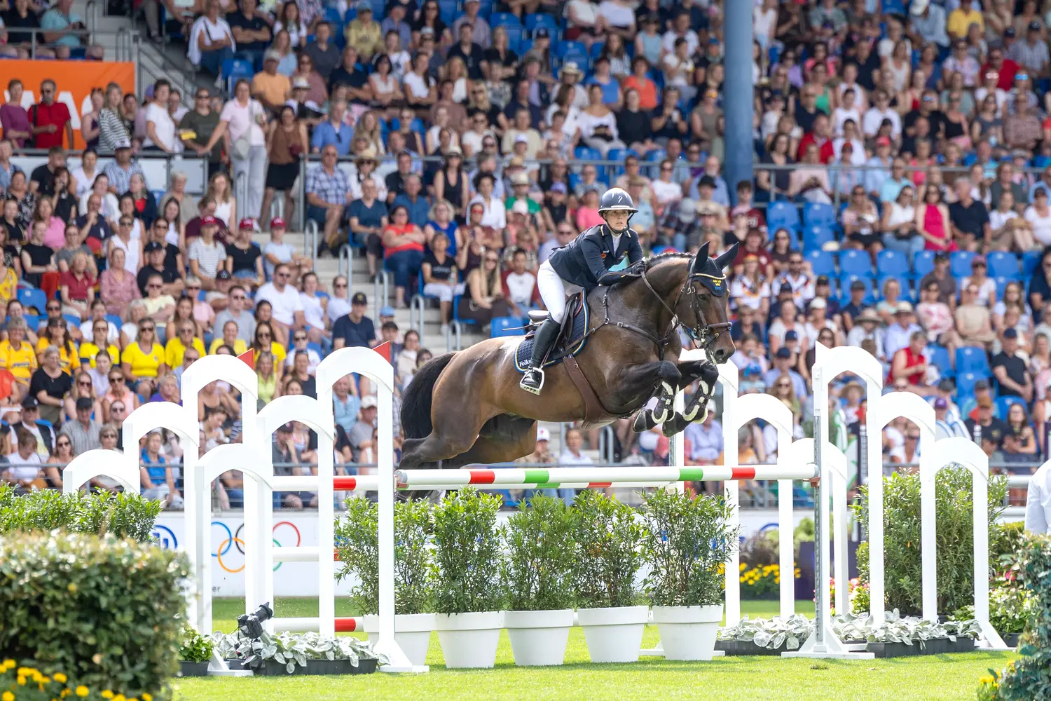 Frida Andersén/Box Leo i hopprovet på VM i Aachen 2026. Foto: Roland Thunholm