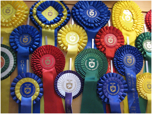 Gå till artikel: S.T.O Ryttarsällskap vinnare division 2 ponny hoppning