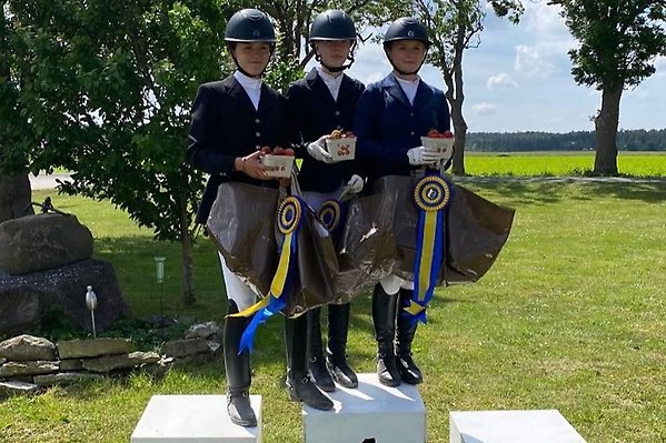 Gotlands Mästerskap-dressyr lag ponny 